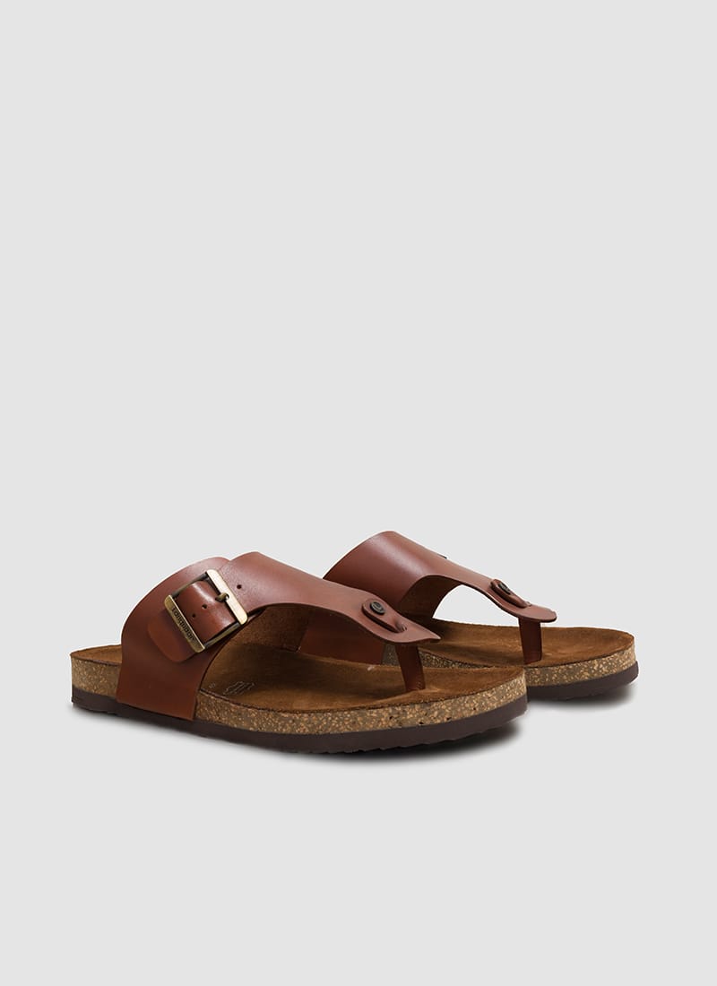 #color_brown