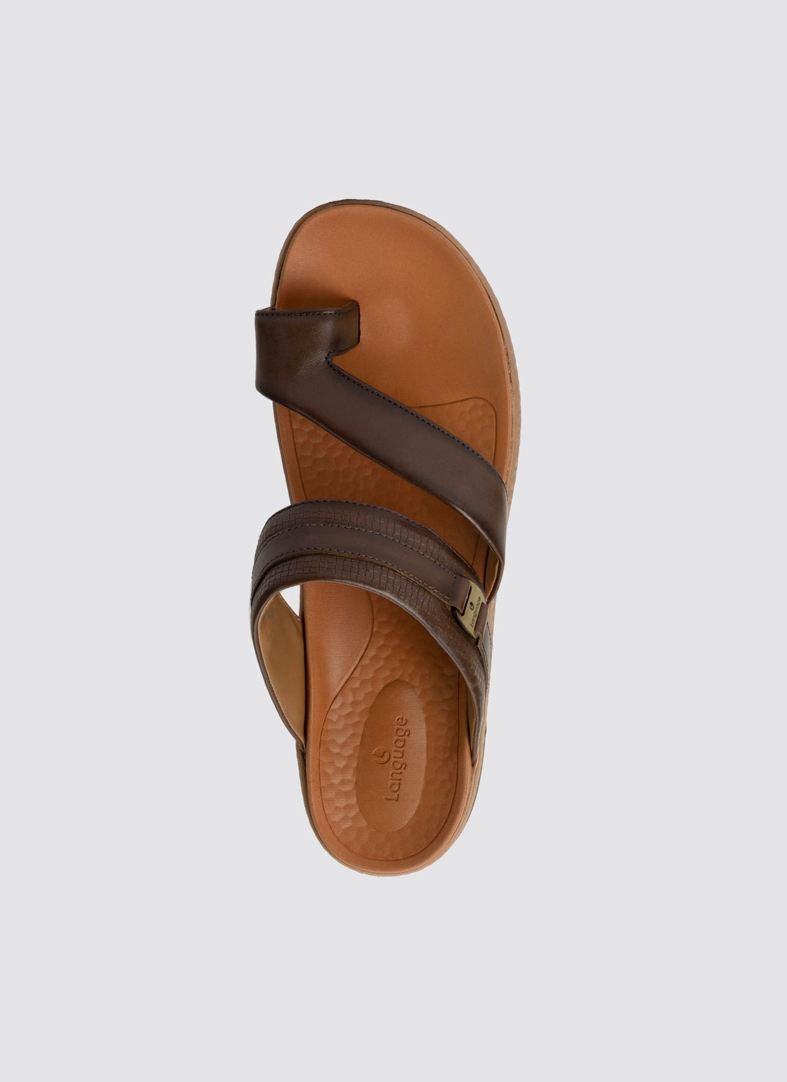 #color_brown