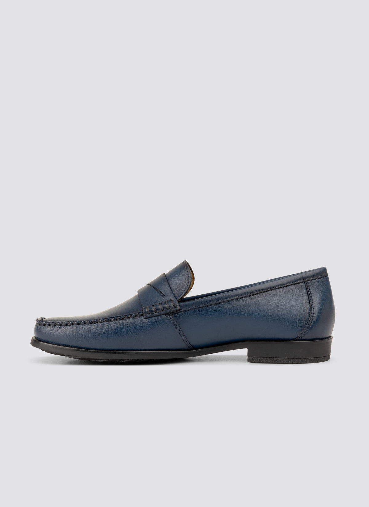 Cameroon moccasin