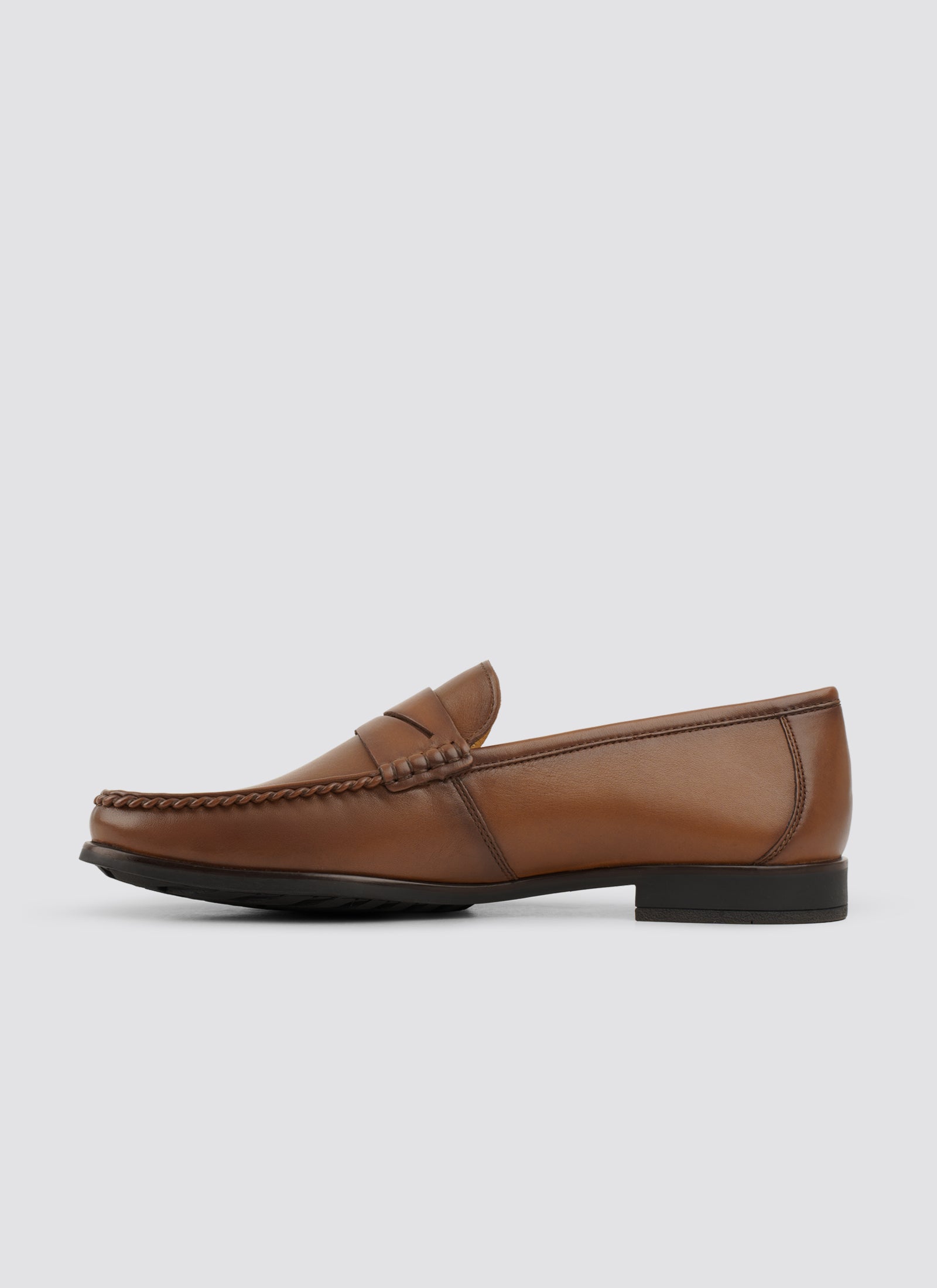 Cameroon moccasin