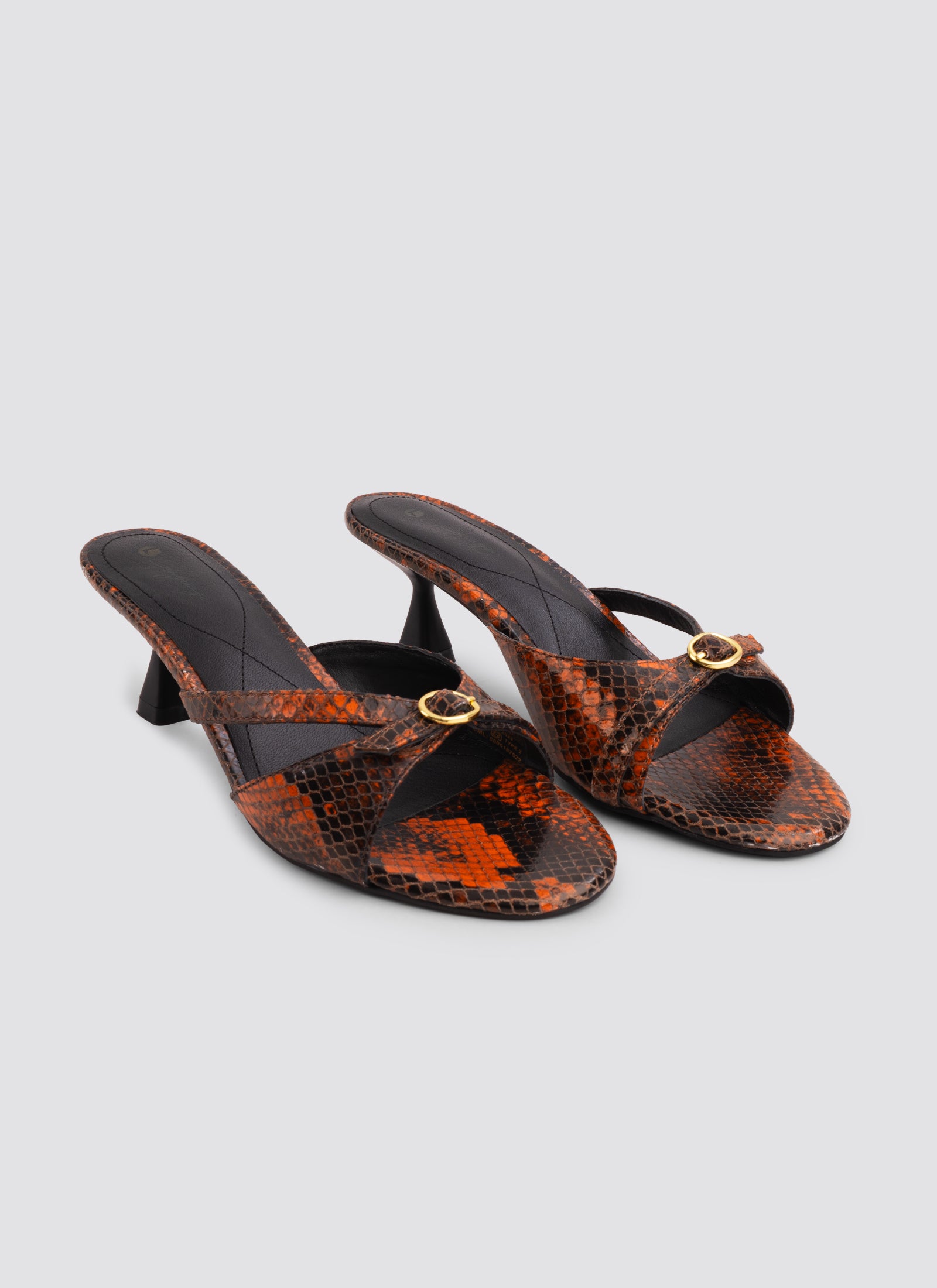 #color_snake-brown