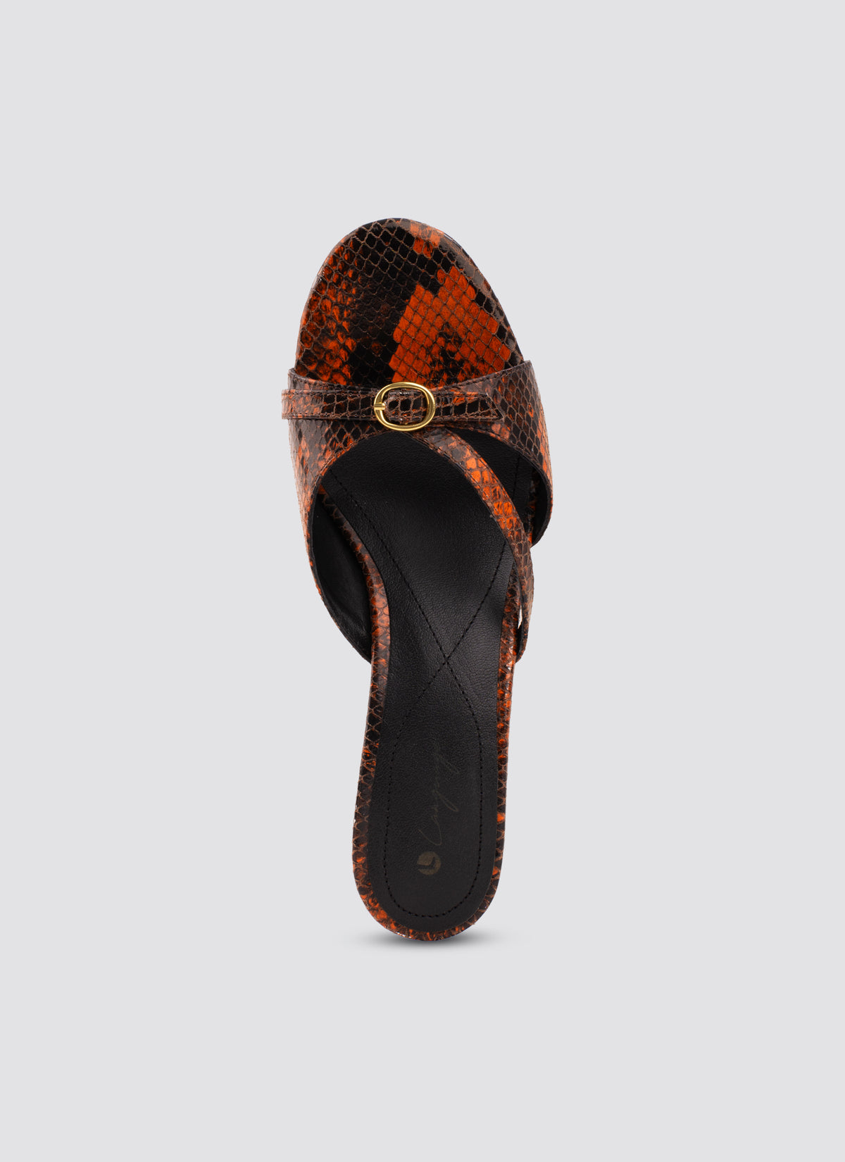 #color_snake-brown