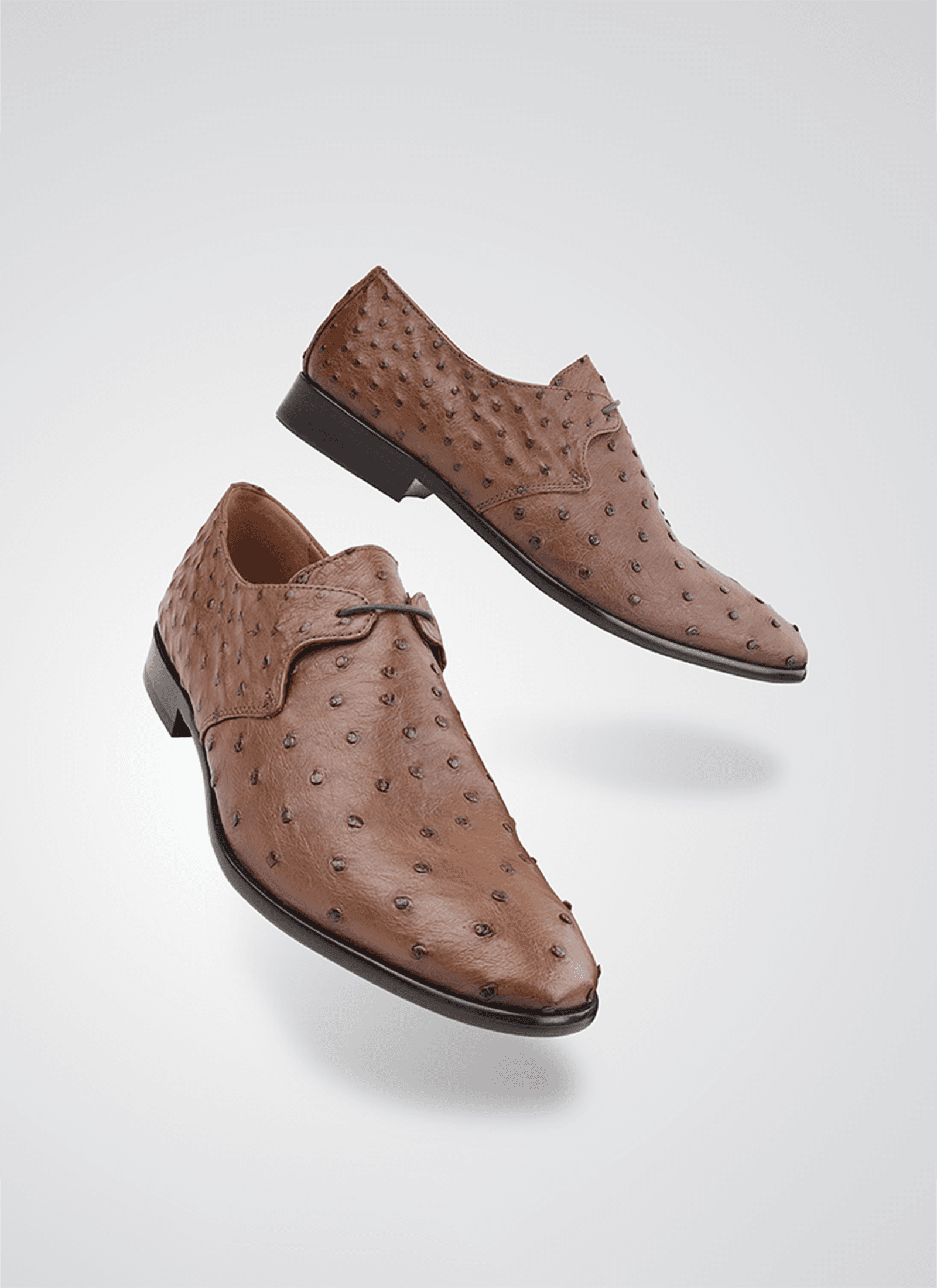Language Shoes-Men-Apollo-Derby-Premium Leather-Brown Colour-Formal Shoe
