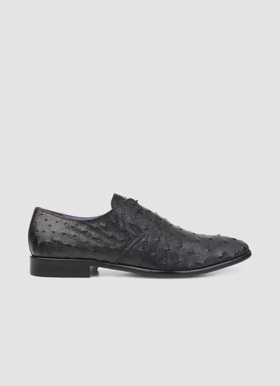 Language Shoes-Men-Apollo Derby-Ostrich Leather-Black Colour-Formal Shoe
