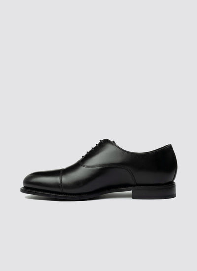 Daxton Lace-ups