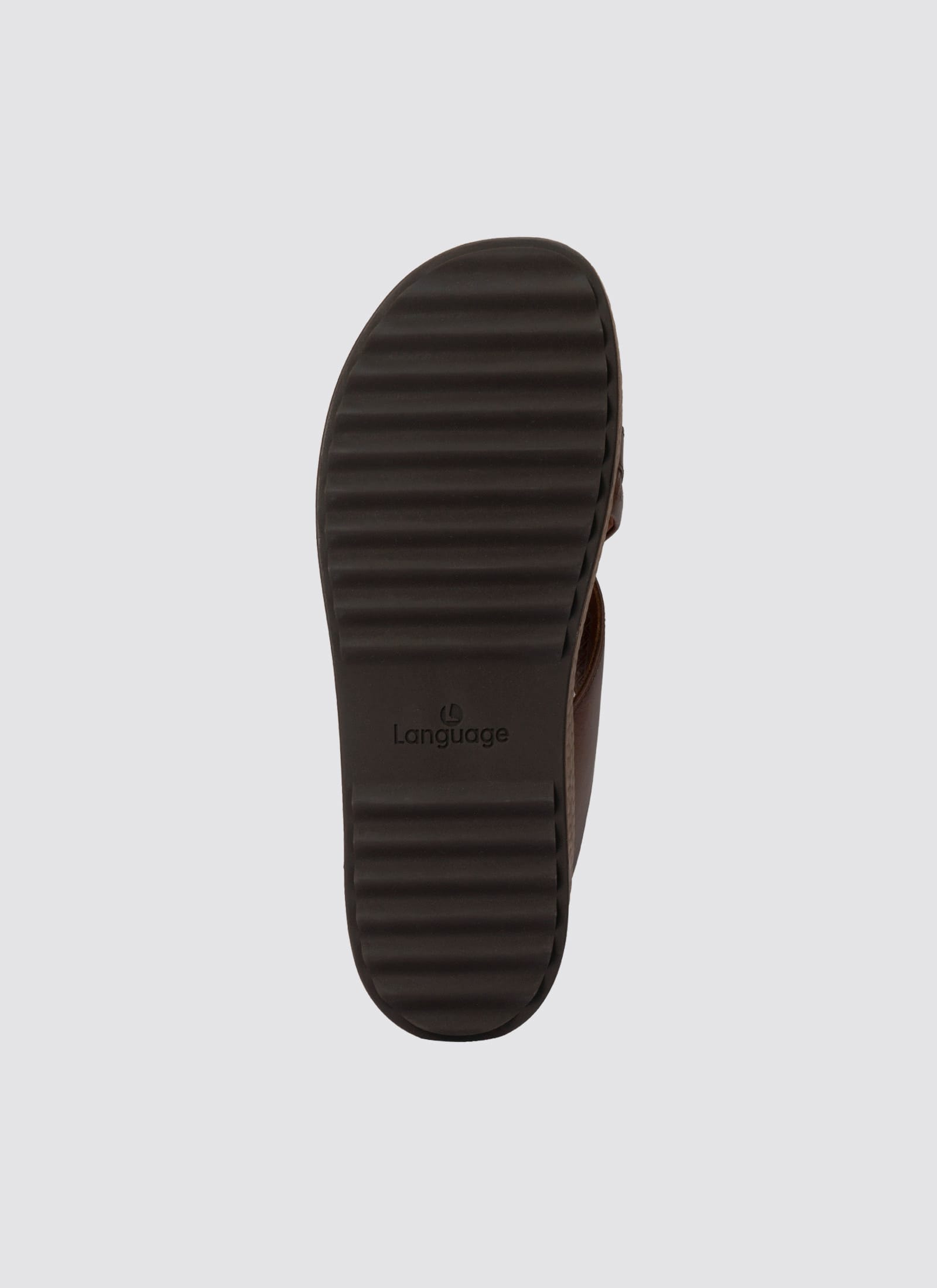 #color_brown