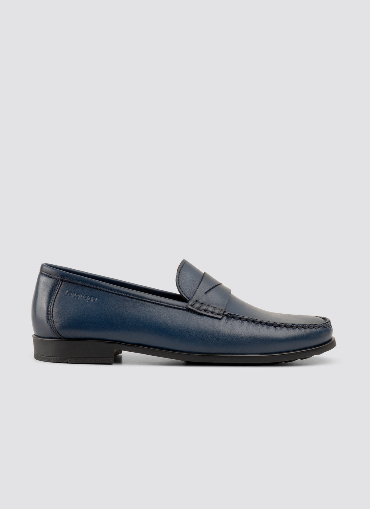 Cameroon moccasin