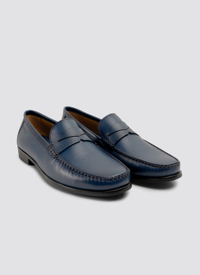Cameroon moccasin