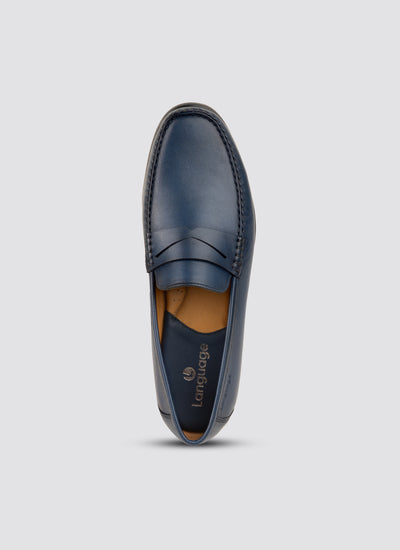 Cameroon moccasin