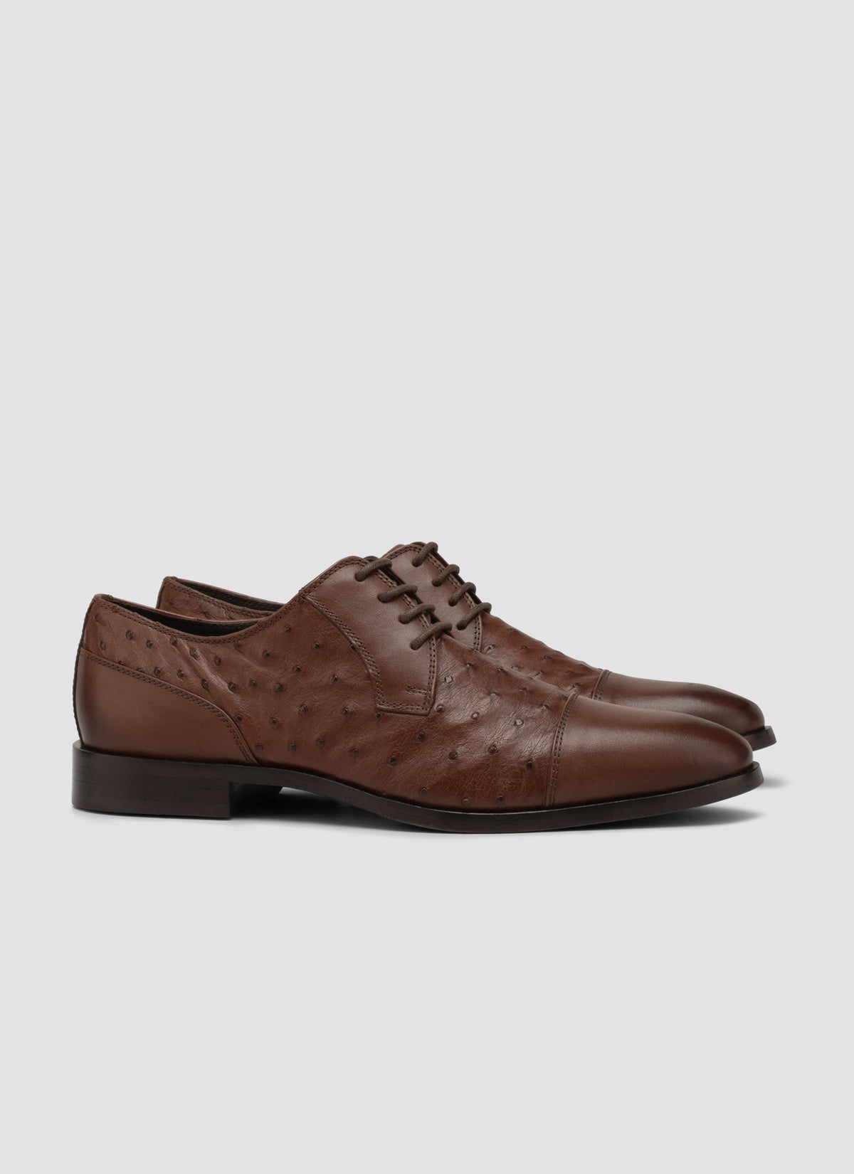 Harvey Laceup