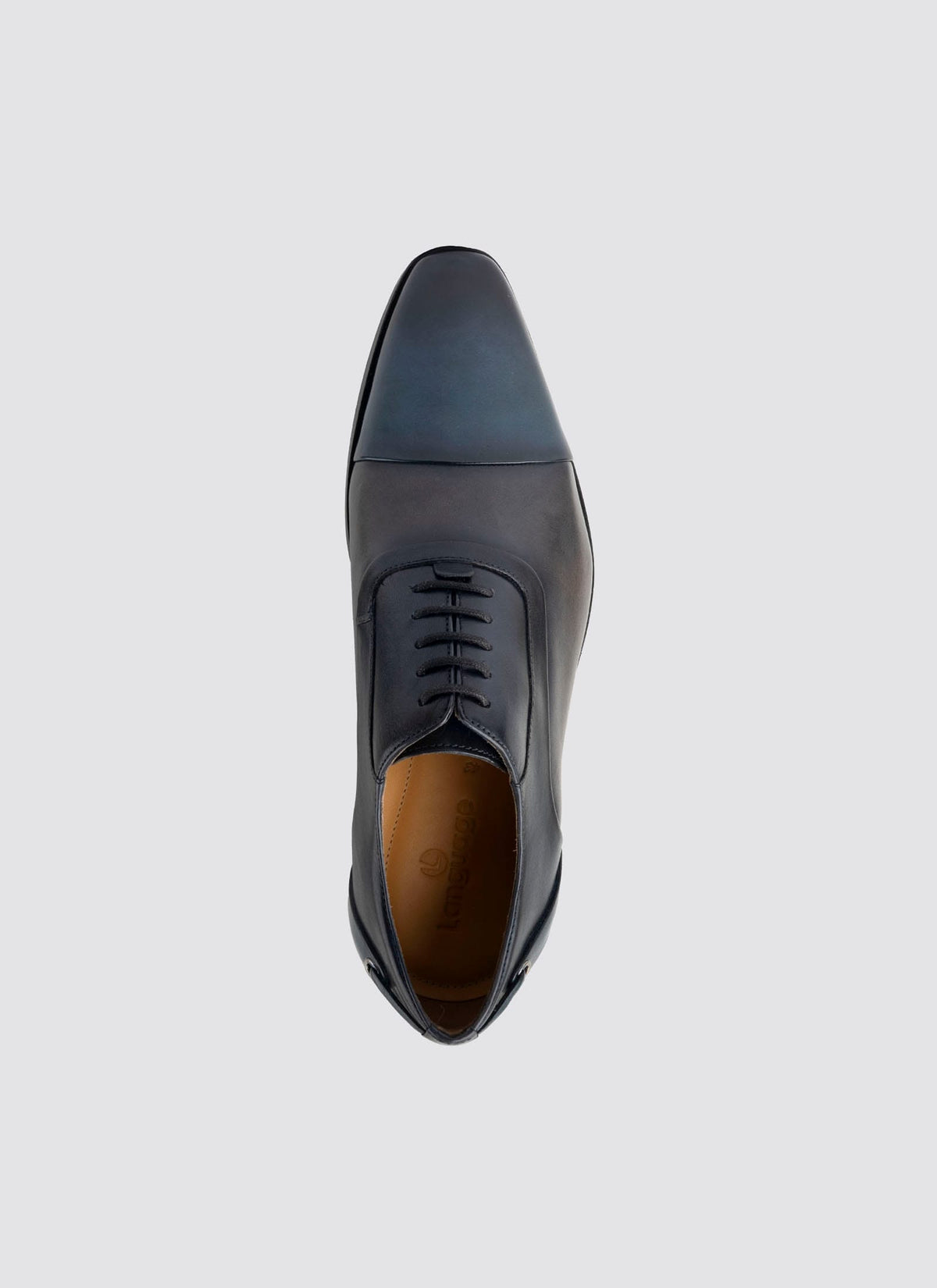 Prime Oxford