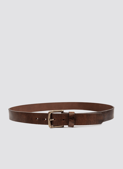 Joel Belt