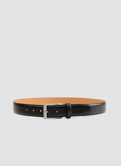 Hadley Belt