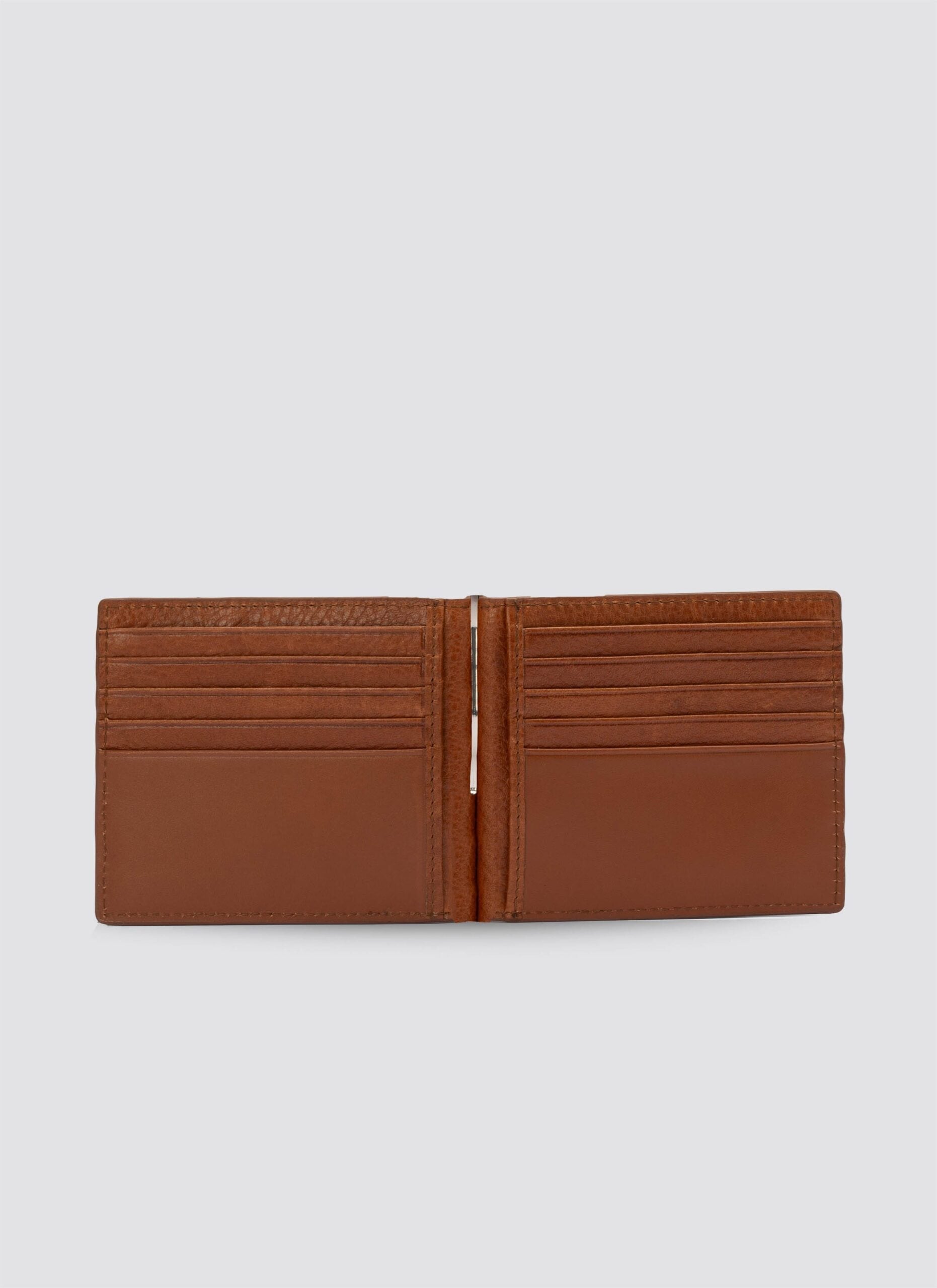 Reed Money Clip