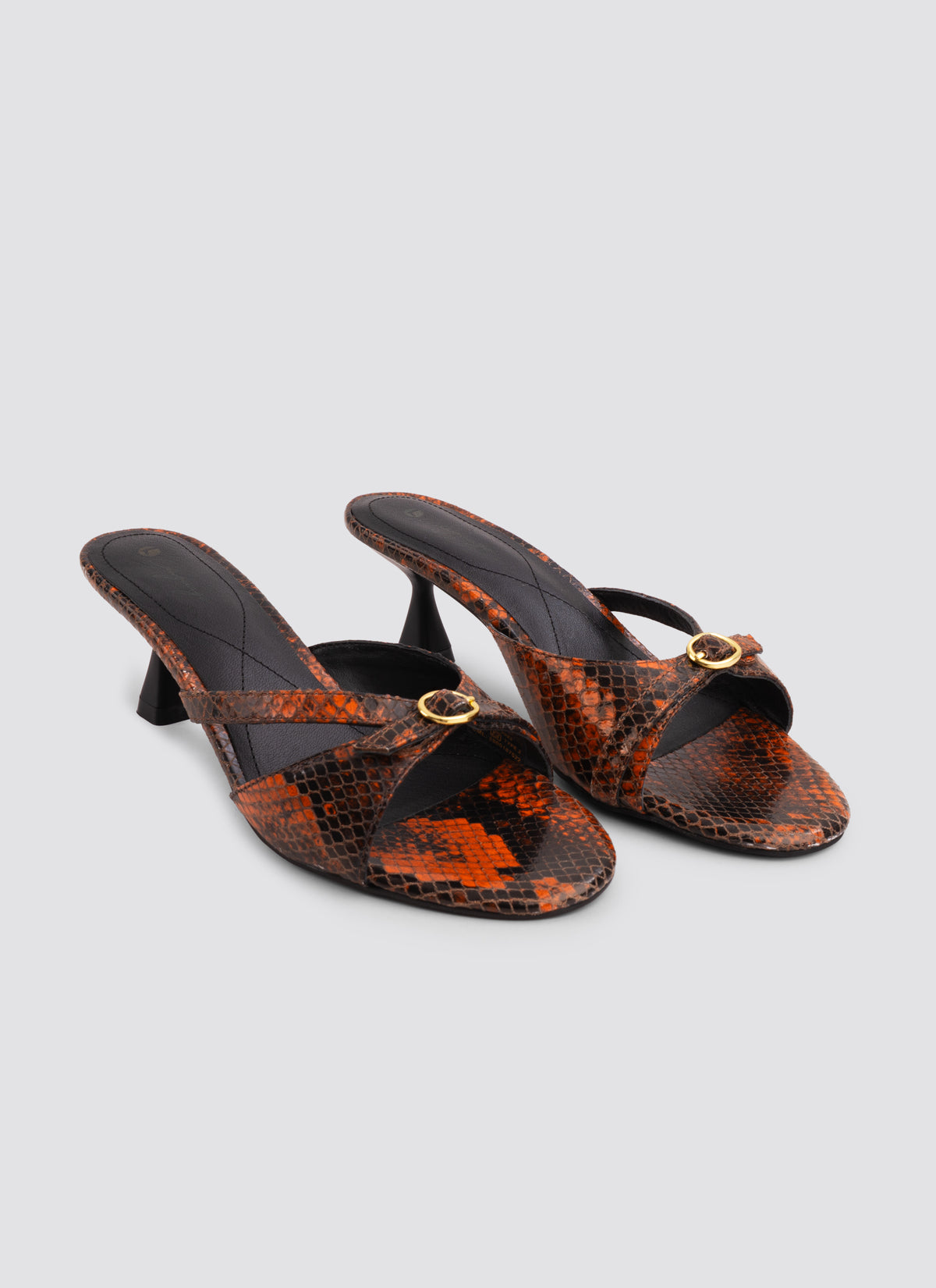 #color_snake-brown